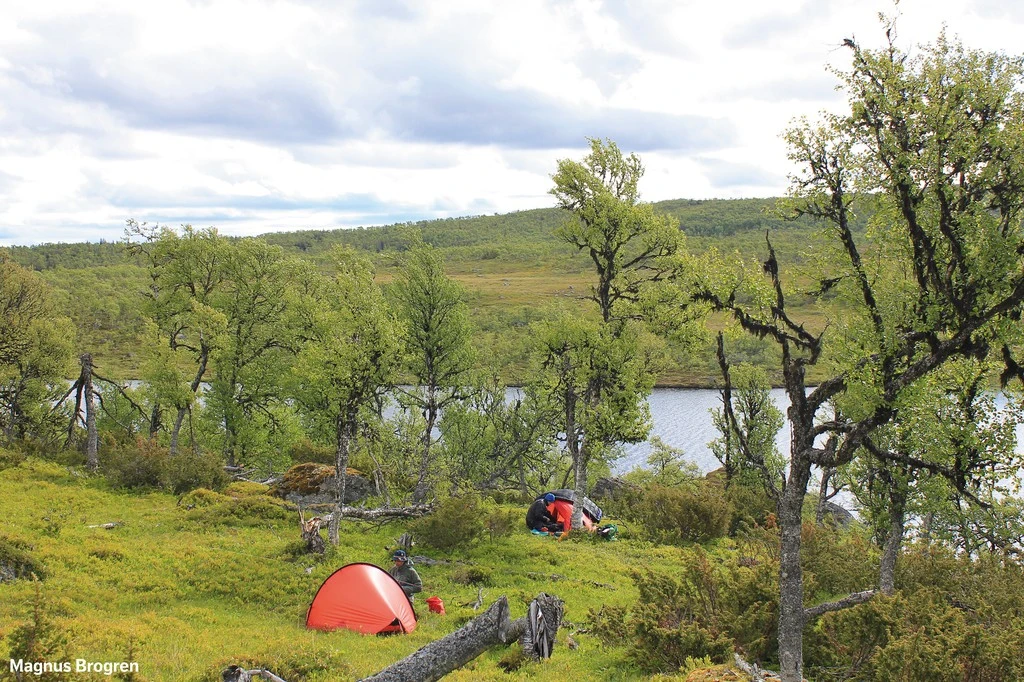 Hilleberg Enan 5 Hilleberg Enan – Image 5