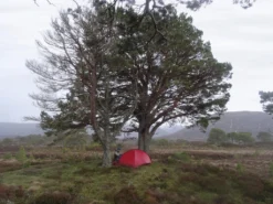 Hilleberg Niak -Hilleberg || Big Agnes || Exped Soldes tente hilleberg niak 06